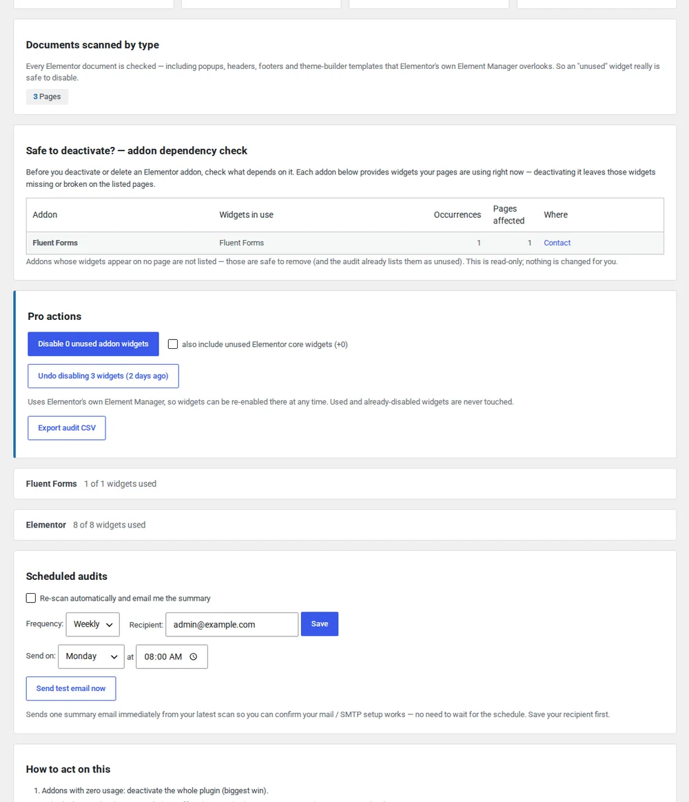 Asset-weight breakdown showing how much CSS and JS each addon loads and which widgets have zero usage.